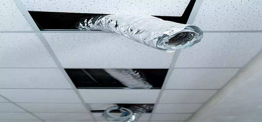 Affordable HVAC Sanitizing After Pest Removal in Bryant