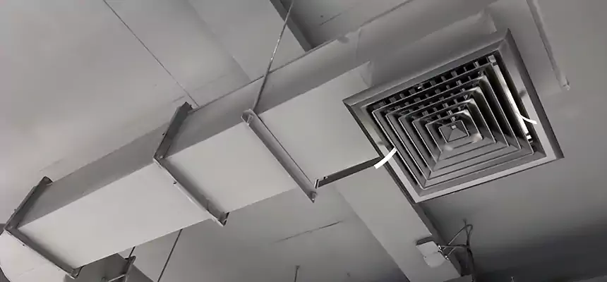 Our Pest Removal From Ducts Services in Bryant, AR