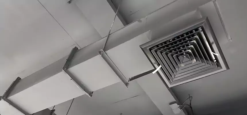 Our Rodent Droppings In Vents Services in Bryant, AR