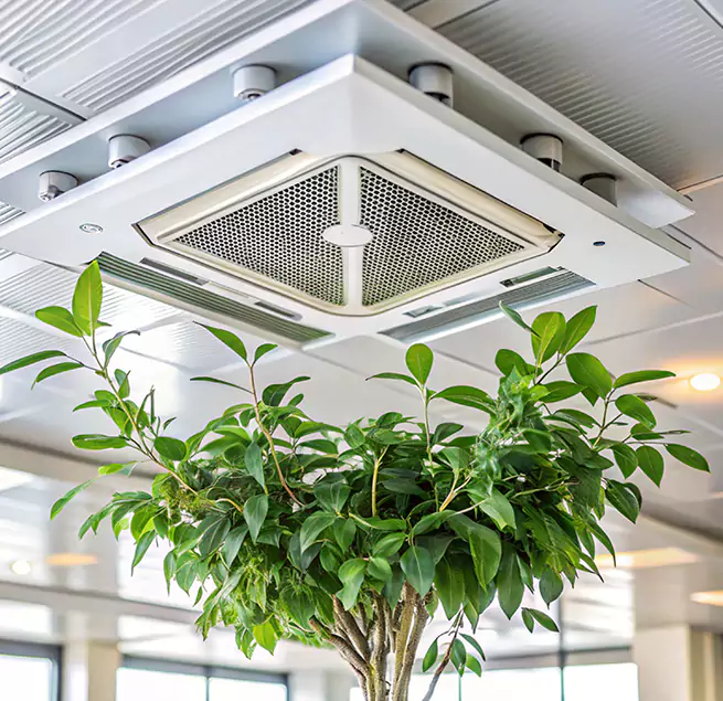 Why Homeowners & Businesses Trust Us in Bryant, AR?